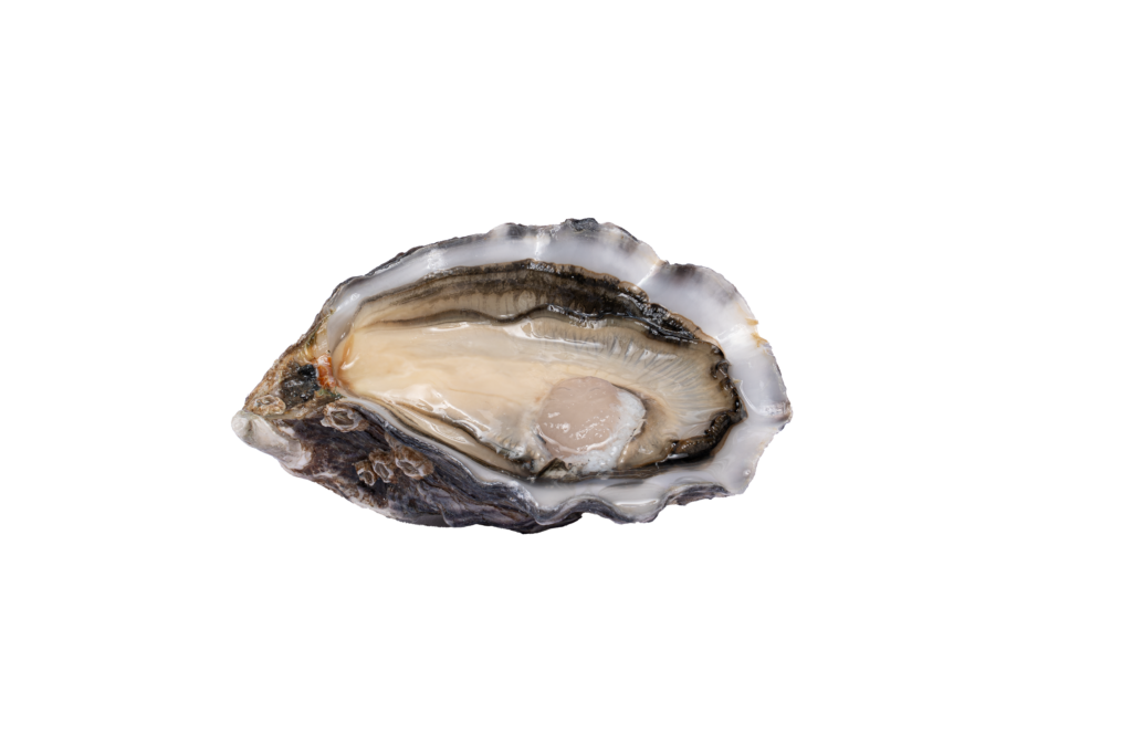 Cocktail - Ostriche Amelie - 