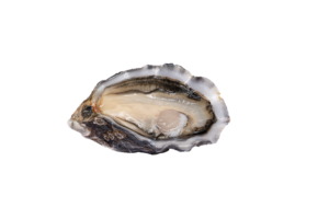 Cocktail - Ostriche Amelie - 