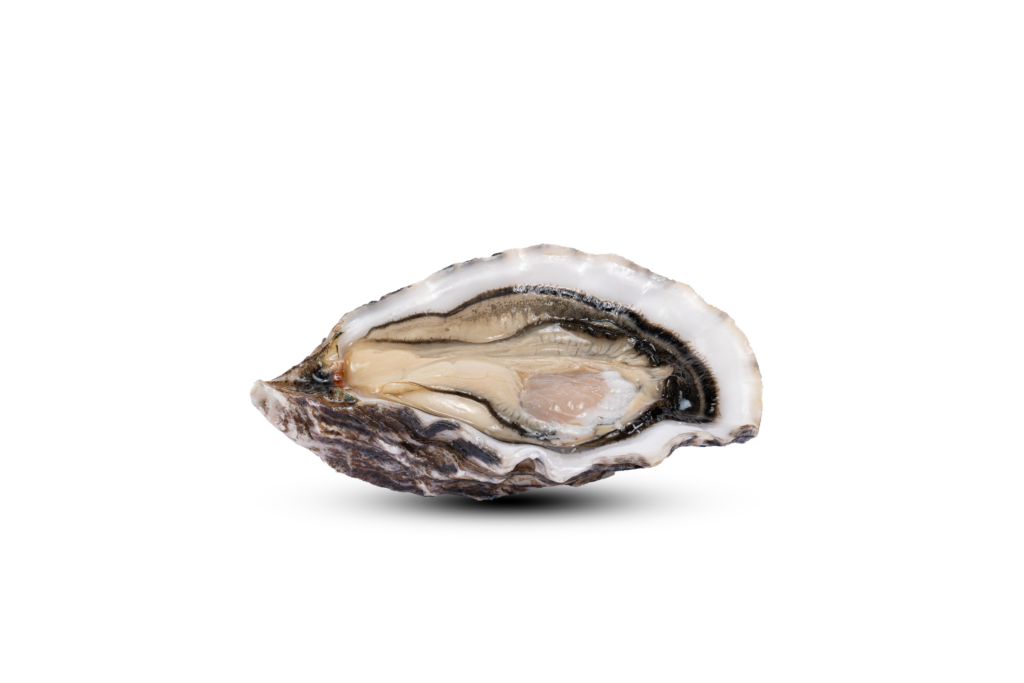 Xo Extraordinaire - Ostriche Amelie - 